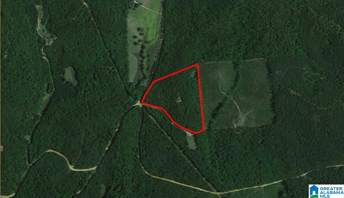 22.49-acres Double Branch Road, Unit 22 49 ACRES Marion, AL 36756 - Photo 2 of 30
