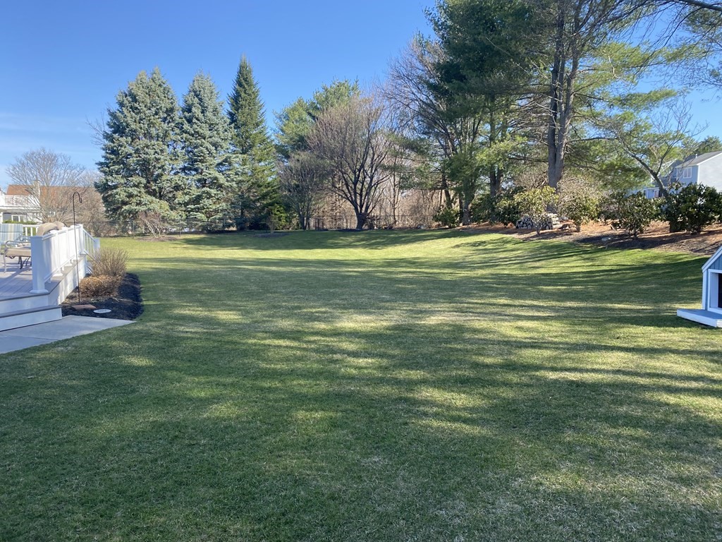 12 Mark Lane Milton, MA 02186 - Photo 15 of 17