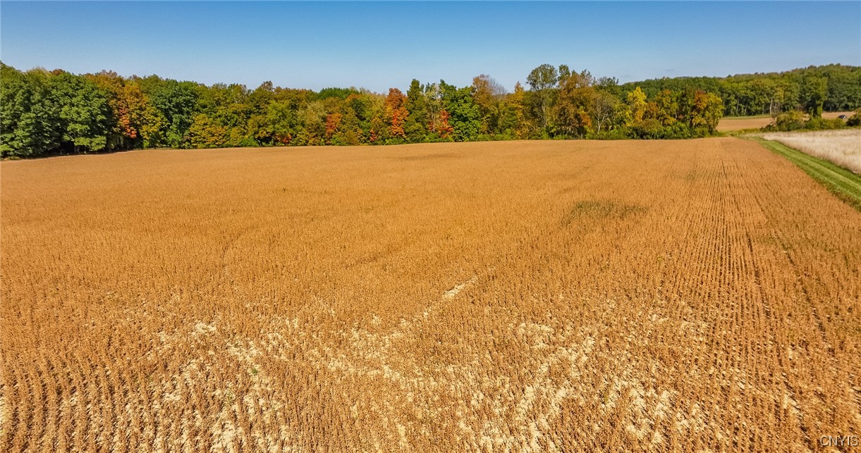 L11 Hall Road Moravia, NY 13118 - Photo 14 of 19