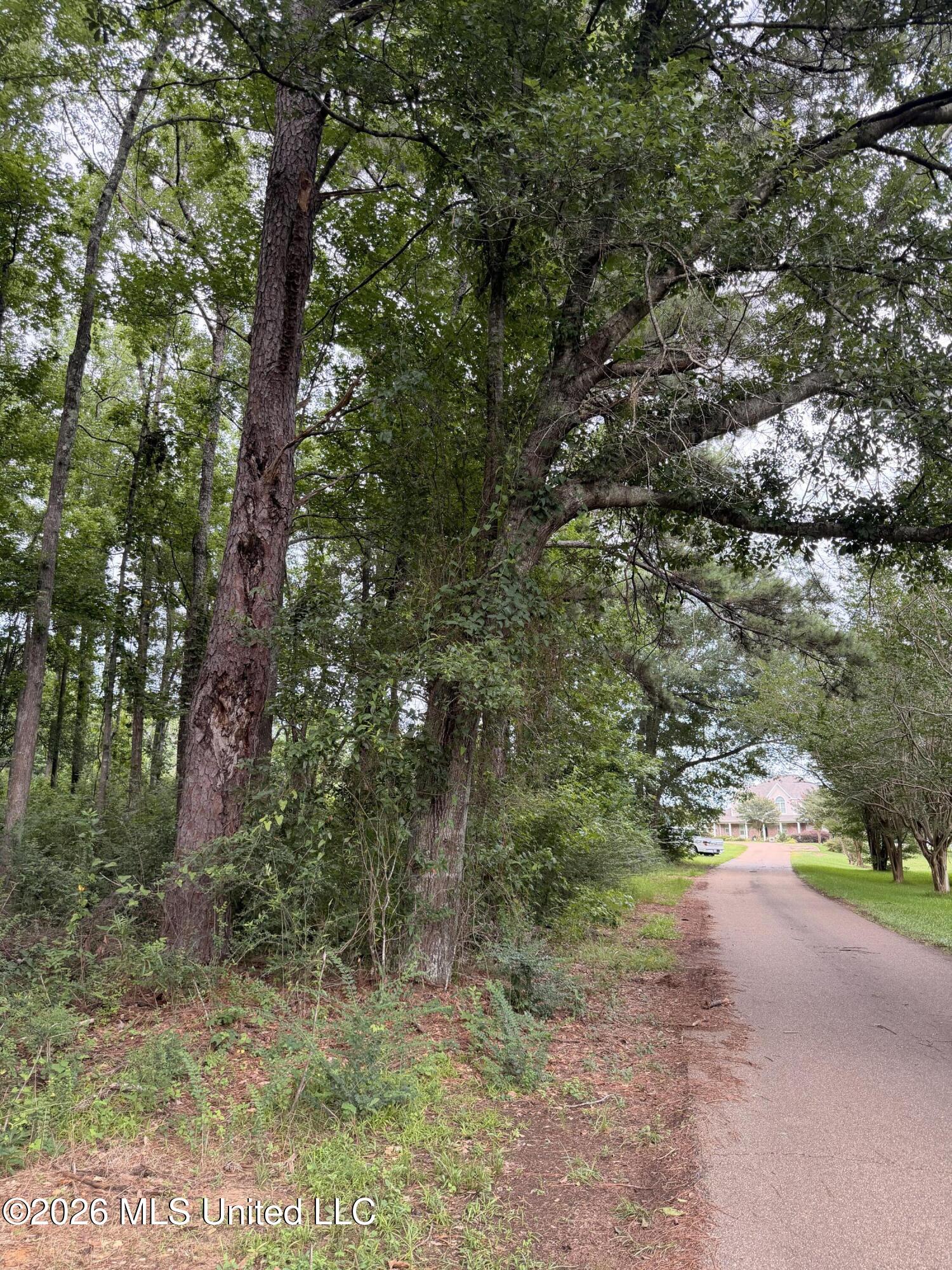 Cedar Ridge McComb, MS 39648 - Photo 10 of 12 IMG_4547
