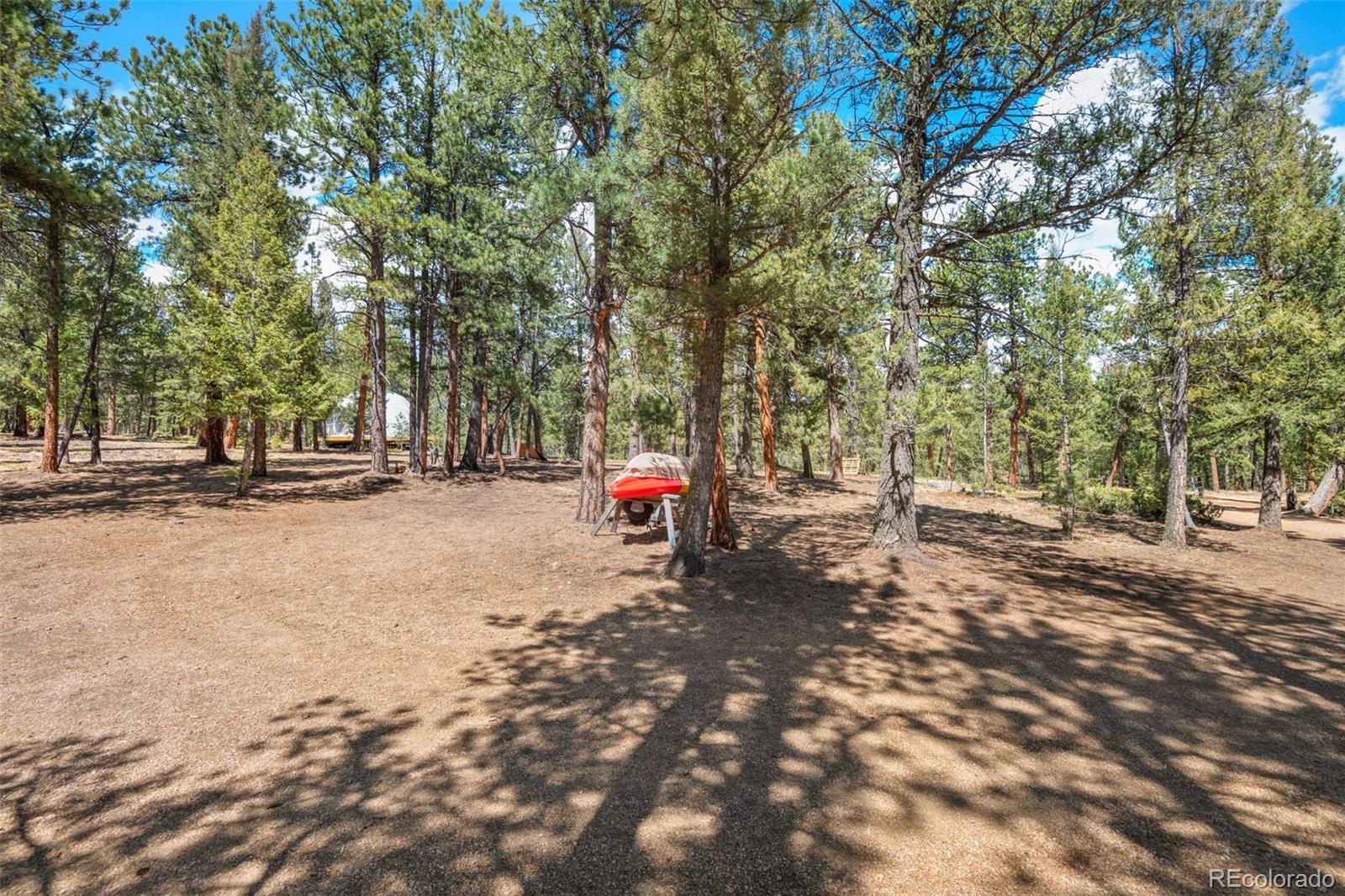 237 Rd B Pine, CO 80470 - Photo 25 of 38