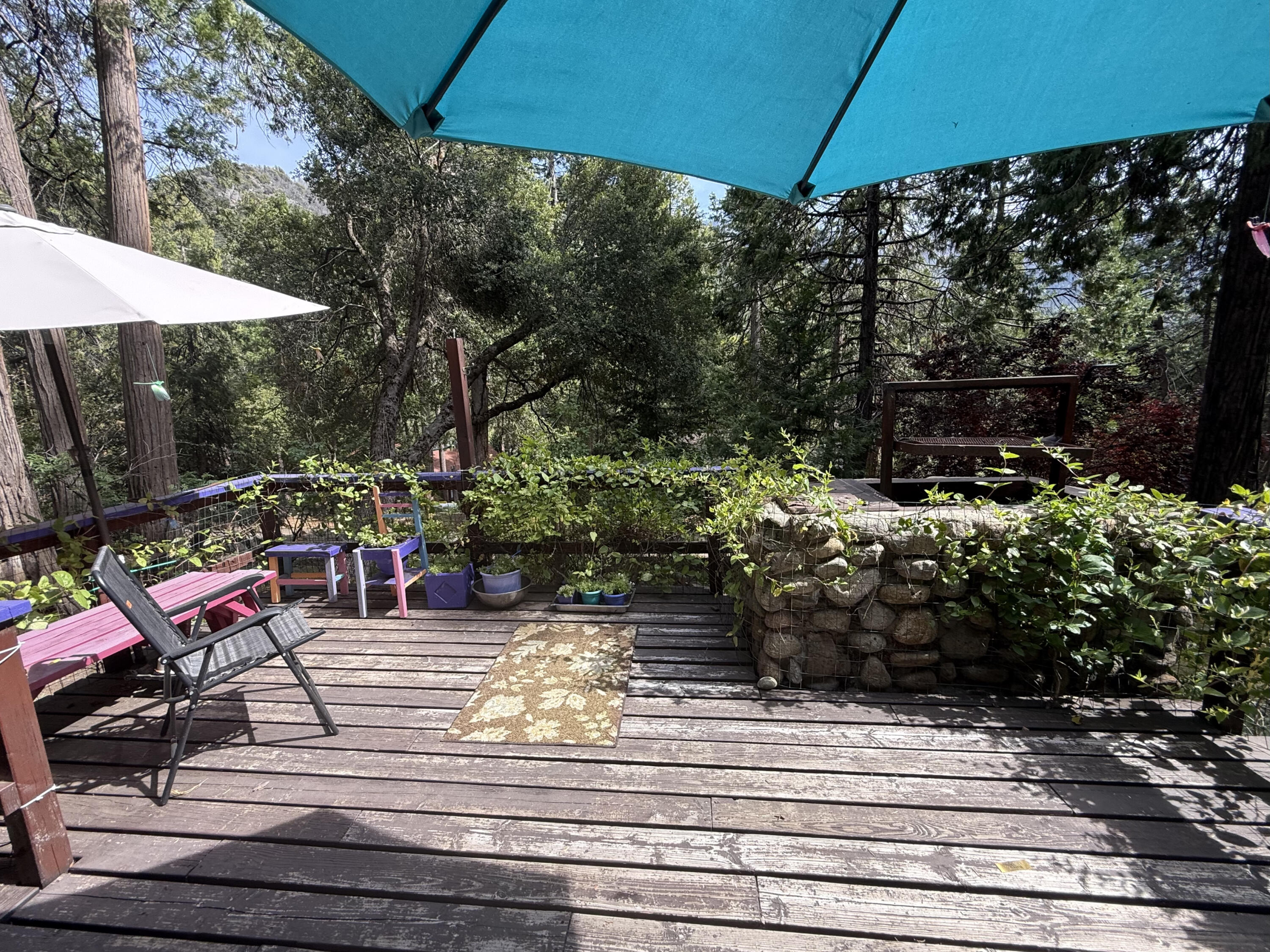 1883 James Drive Springville, CA 93265 - Photo 36 of 56