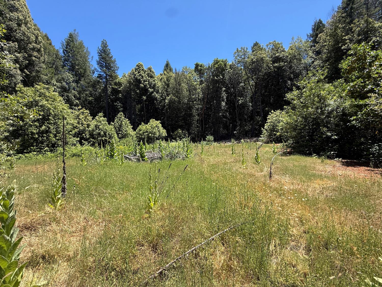 17243 Indiana Ranch Road Challenge, CA 95925 - Photo 21 of 22