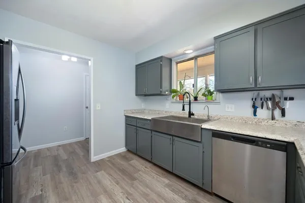 a view of a yard with a tree