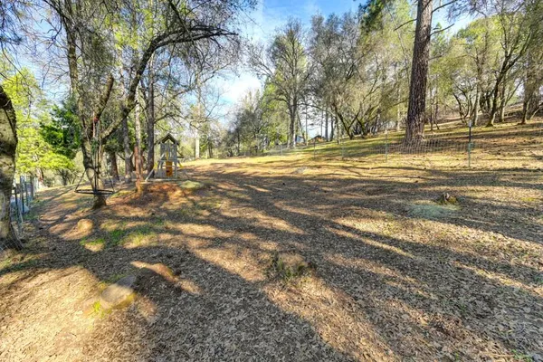 a view of a lush green forest with trees in the background