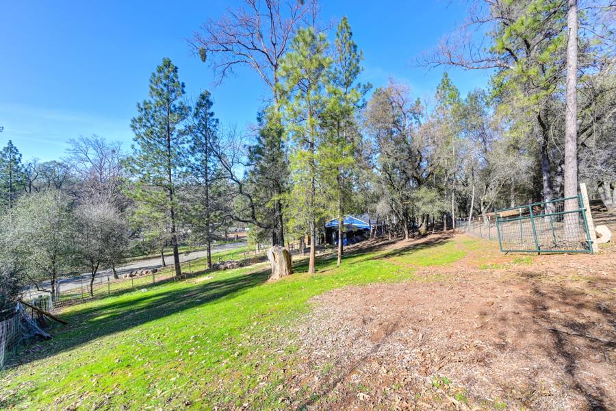 6421 Garden Valley Road Garden Valley, CA 95633 - Photo 57 of 79