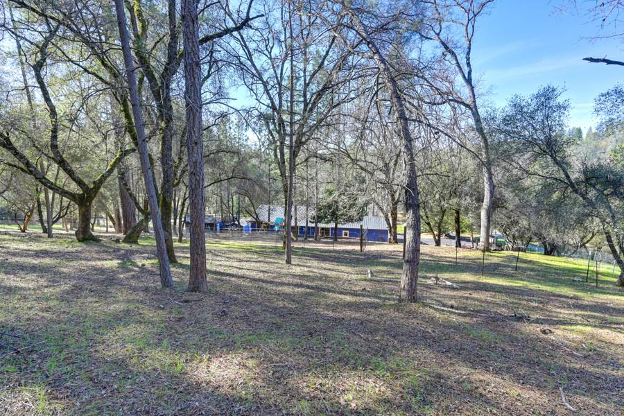 6421 Garden Valley Road Garden Valley, CA 95633 - Photo 61 of 79