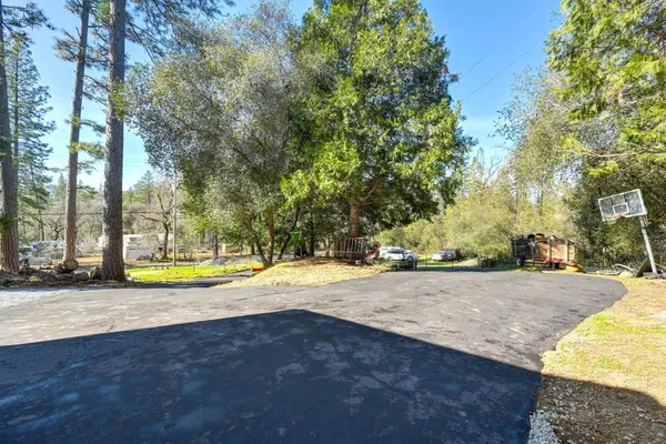 a view of backyard with wooden fence and large trees