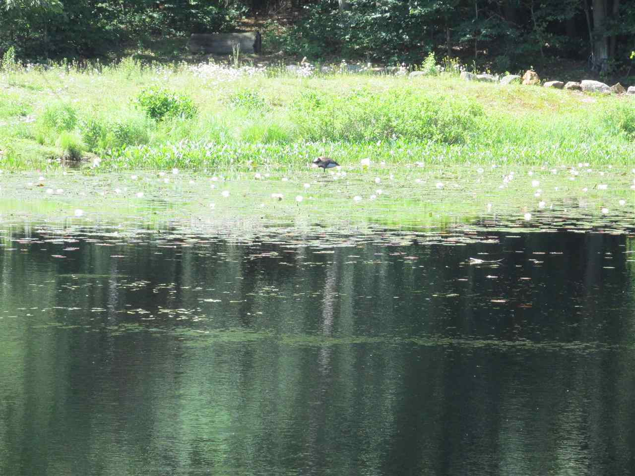 98 Perkins Pond Road Weare, NH 03281 - Photo 4 of 30