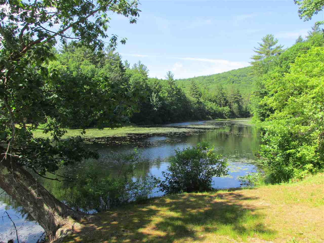98 Perkins Pond Road Weare, NH 03281 - Photo 5 of 30