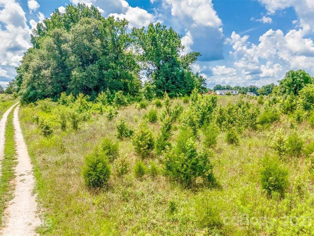 0 Old Mill Road Richburg, SC 29729 - Photo 12 of 12 a view of a garden