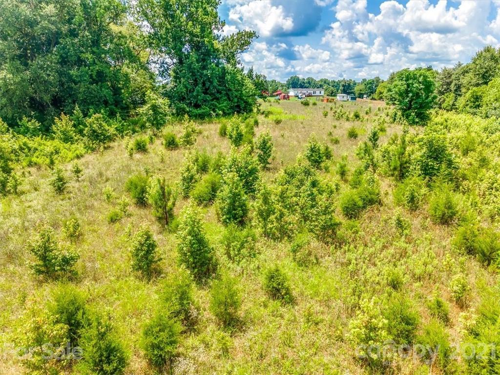 0 Old Mill Road Richburg, SC 29729 - Photo 10 of 12 a view of a big yard with lots of green space and plants