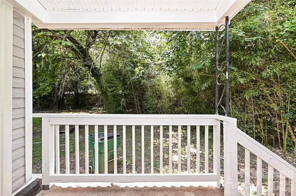 a view of a yard with plants and large trees