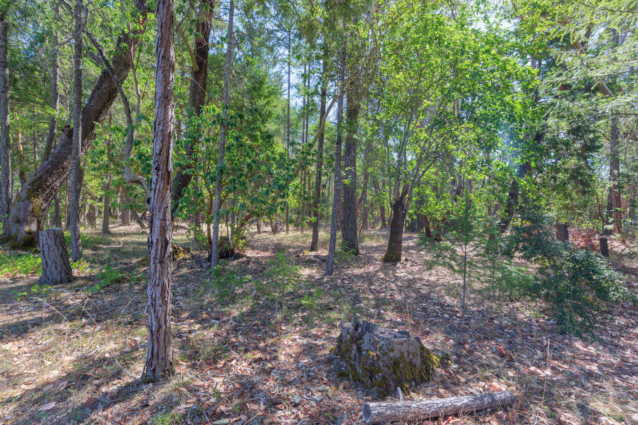 14771 Water Gap Road Williams, OR 97544 - Photo 46 of 55 Woods