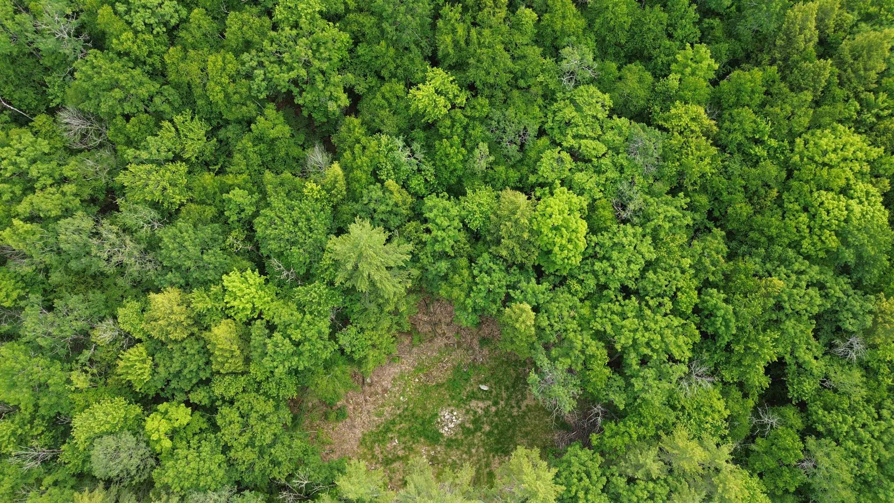 231 Valley Road New Durham, NH 03855 - Photo 4 of 19