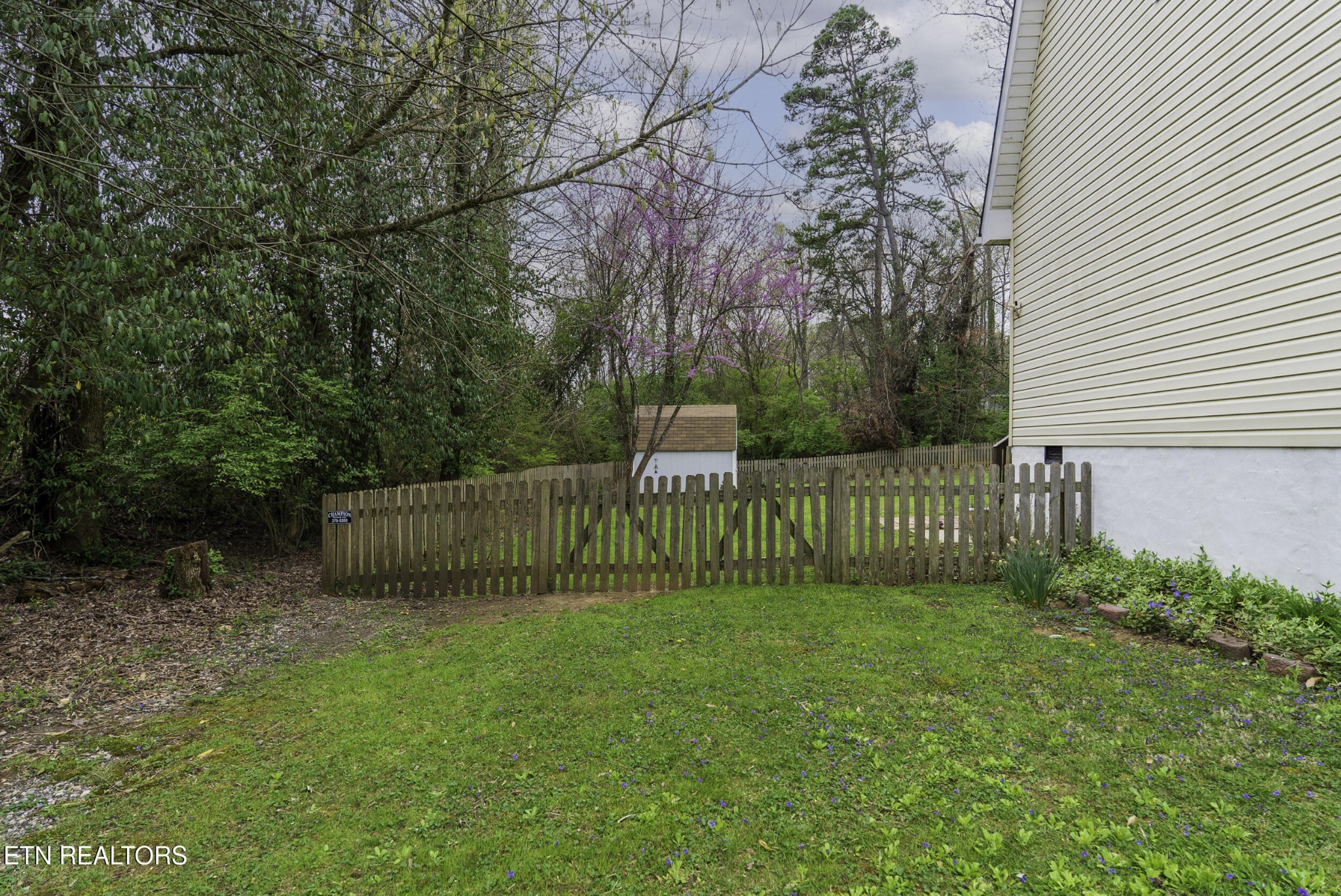 809 Cessna Road Knoxville, TN 37919 - Photo 4 of 36 Gallery Image 4