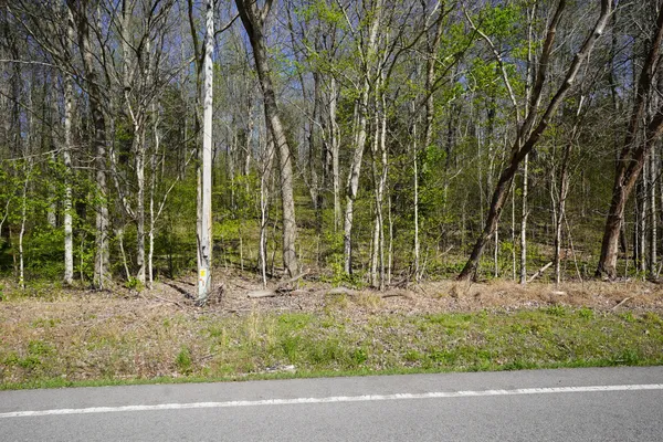 $159,900 | 4219 Hwy 49 Tennessee Ridge, Cumberland City, TN 37050