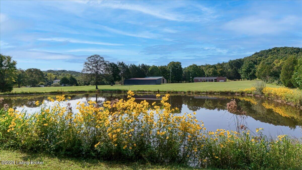 2996 Nat Rogers Road Boston, KY 40107 - Photo 57 of 62 57-DJI_20240909105008_0384_D-Edit-Edit