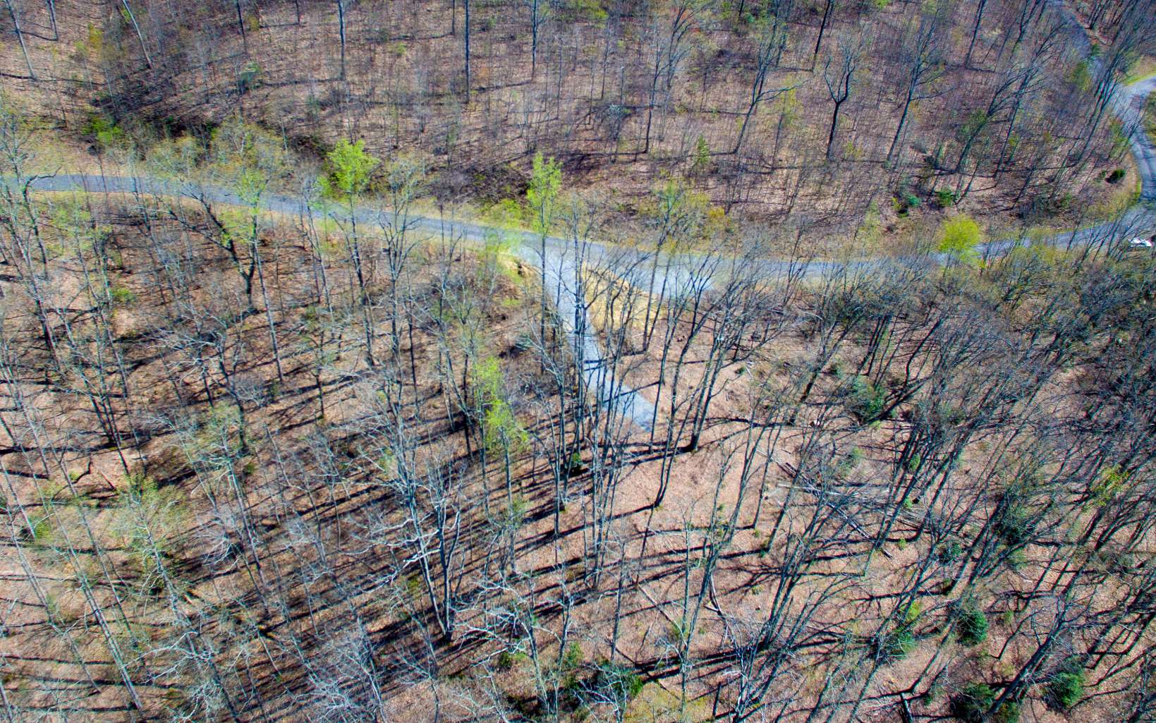 17 M Ridges Hayesville, NC 28904 - Photo 5 of 31 Additional View