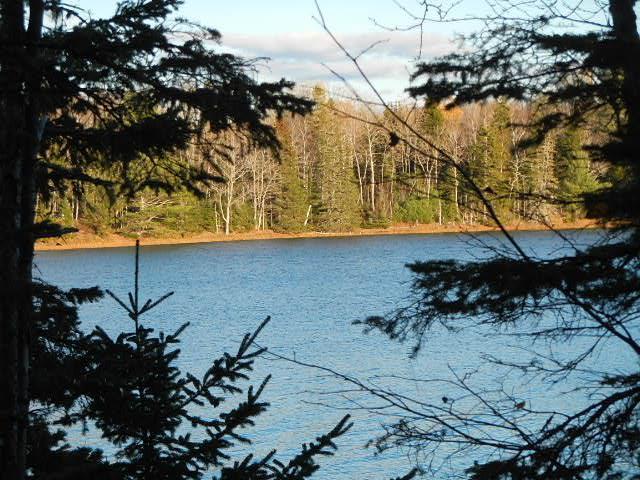 Map 8-lot7 Partridge Cove Road Lamoine, ME 04605 - Photo 2 of 24 2