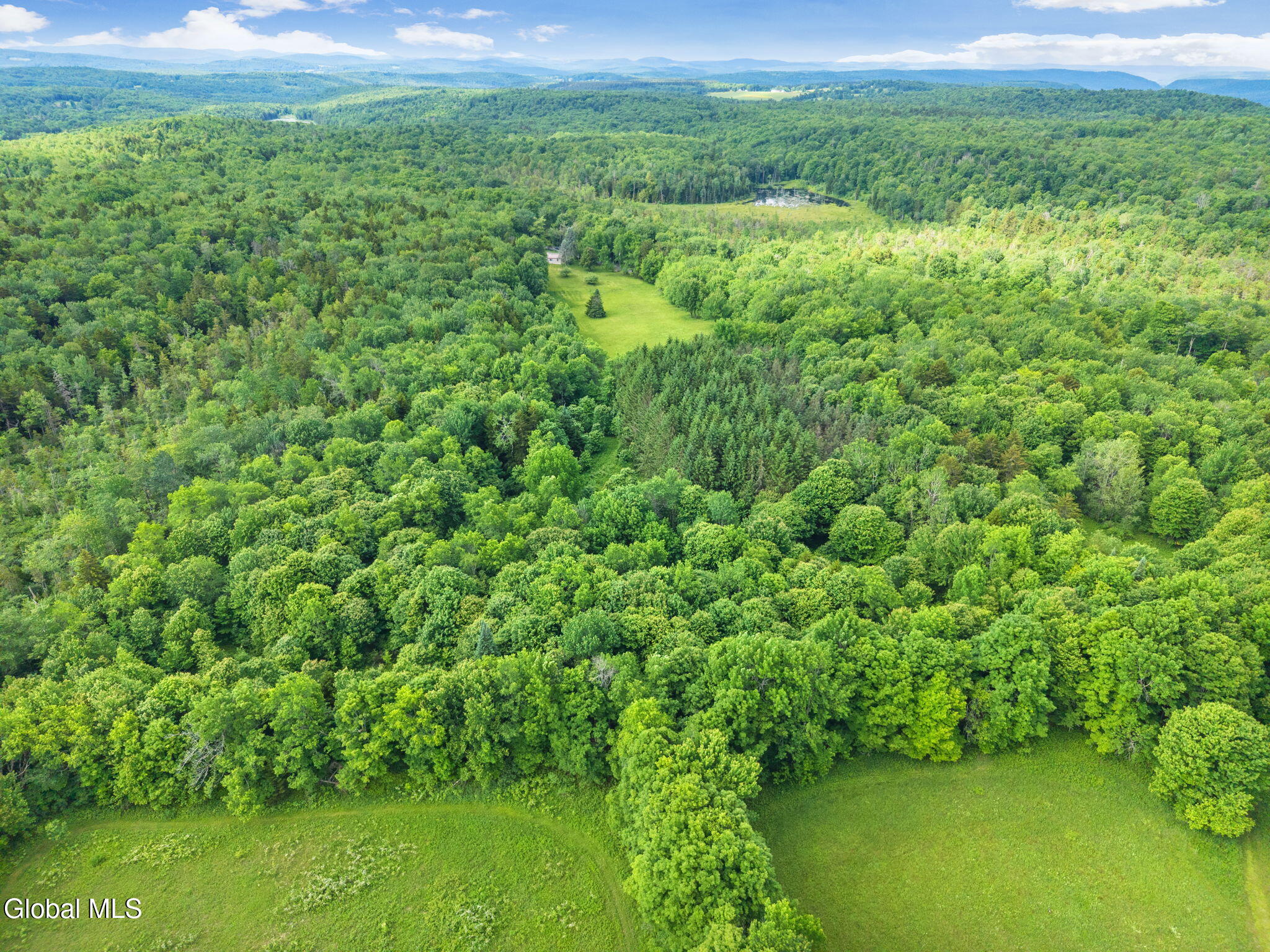 615 Arabia Road Summit, NY 12175 - Photo 47 of 51 47-615ArabiaRd_47