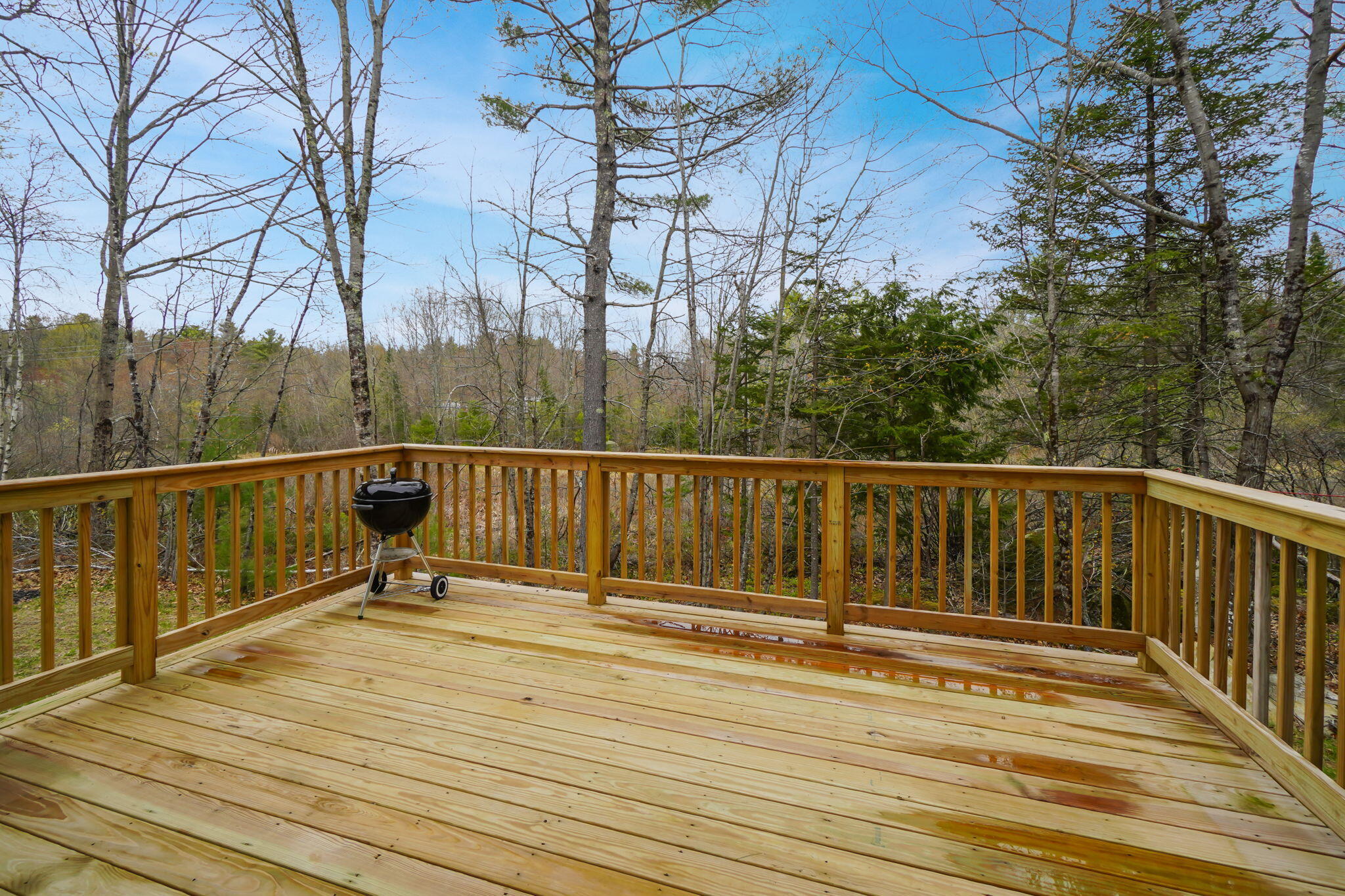 17 Hemon Cobb Road Windham, ME 04062 - Photo 43 of 53 43-web-or-mls-DSC01859-2