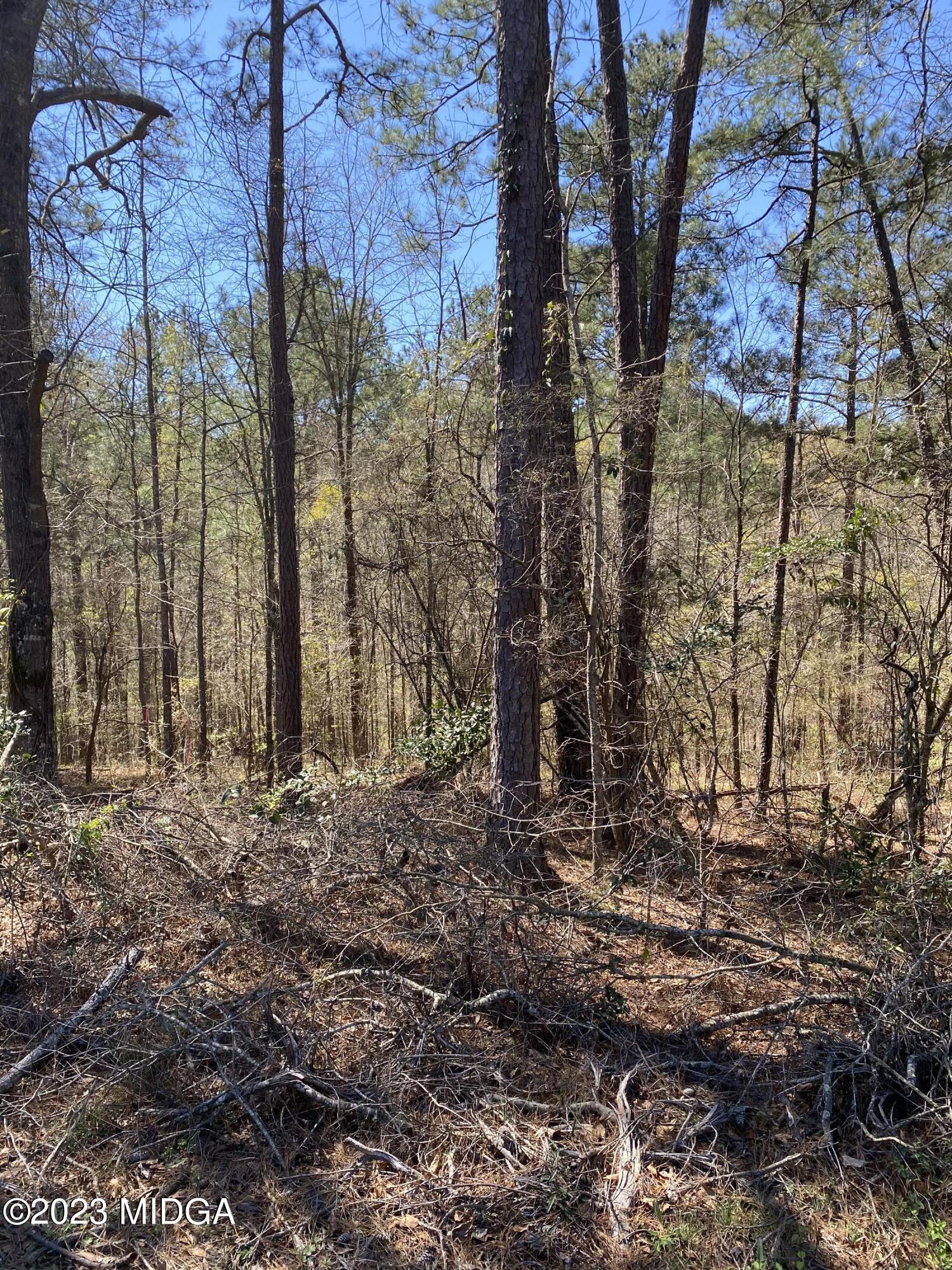 18 Dames Ferry Road Gray, GA 31032 - Photo 9 of 10 70050828090__8E6A29DA-F1CE-43BD-8307-93C
