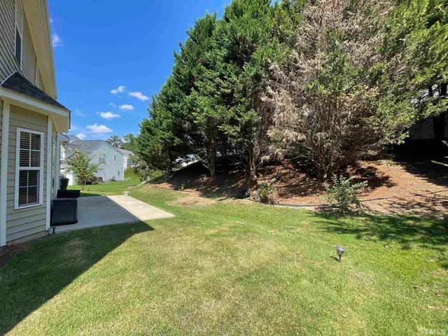 a view of a yard with plants and a bench