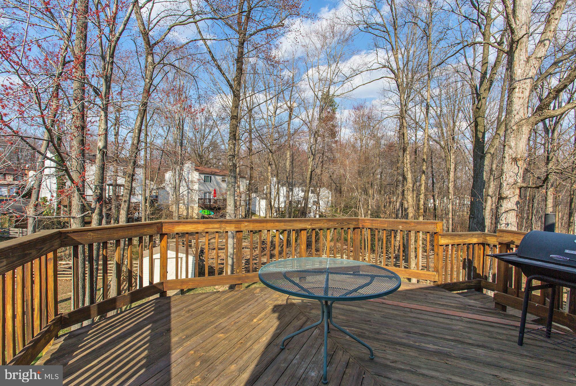 8469 Rippled Creek Court Springfield, VA 22153 - Photo 22 of 30 Exterior (Rear)