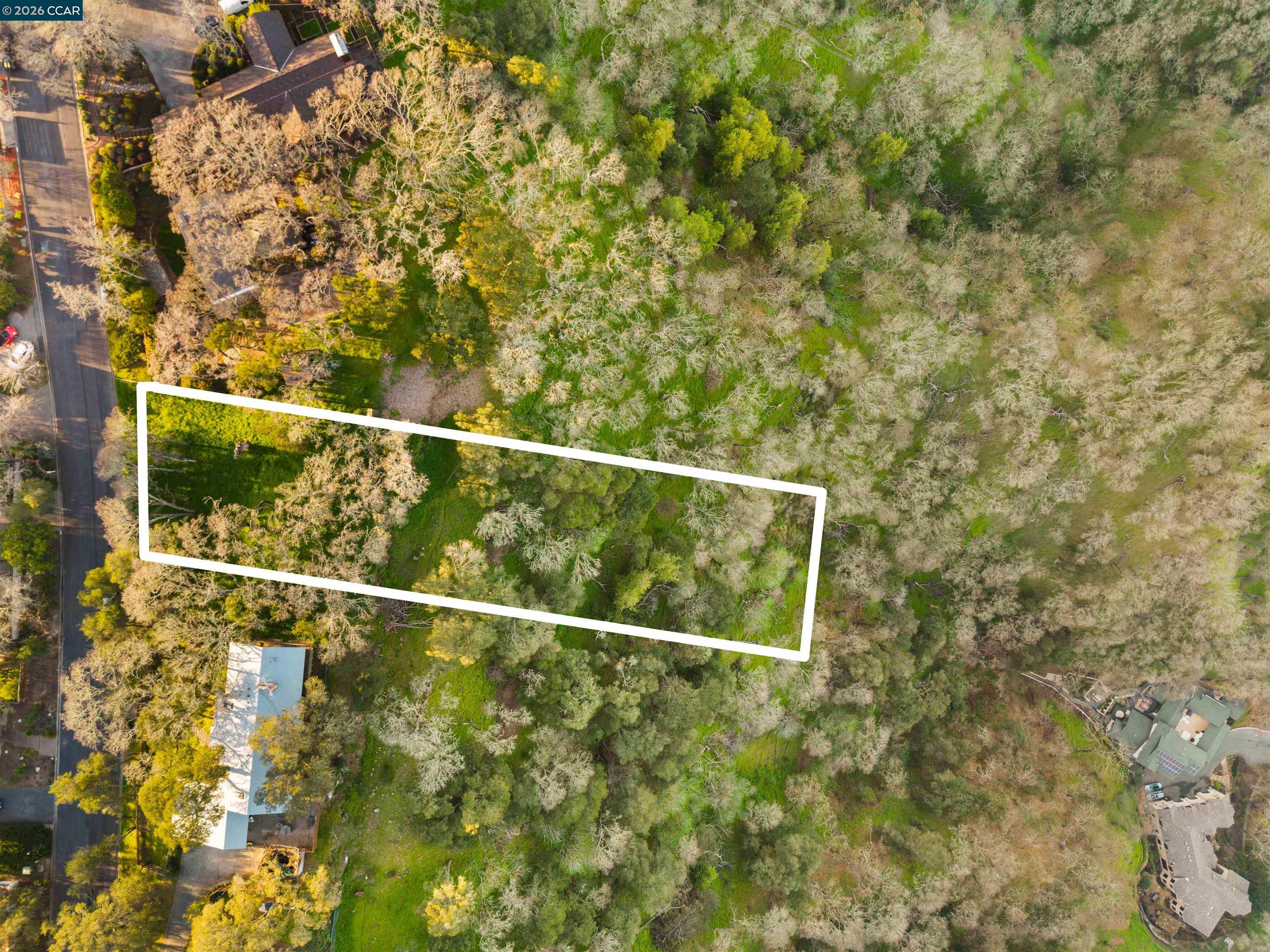 0 Castle Crest Road Alamo, CA 94507 - Photo 3 of 14 a view of a yard