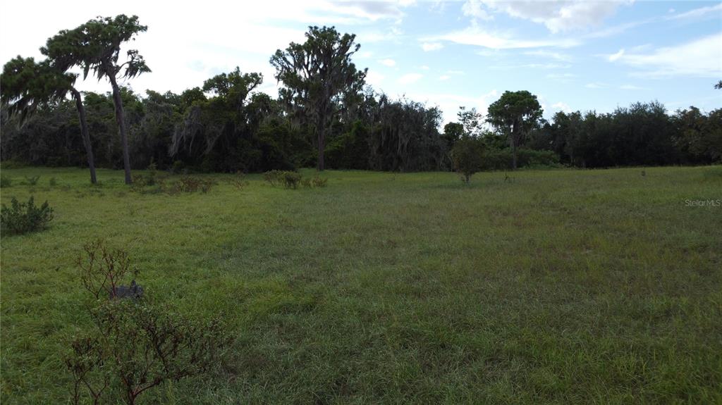 742 North Lake Reedy Boulevard Frostproof, FL 33843 - Photo 11 of 19 a view of outdoor space and yard