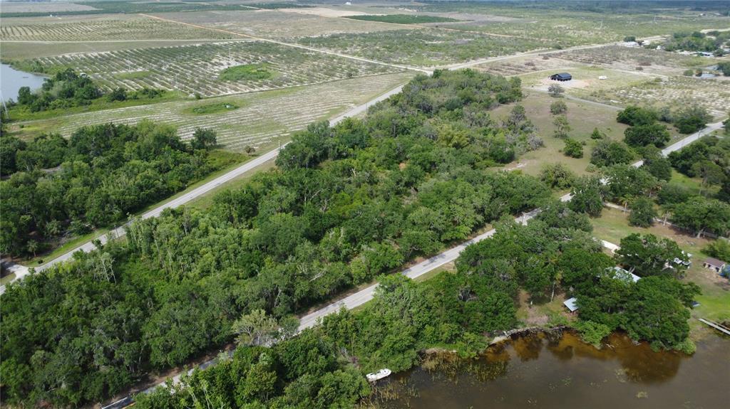 742 North Lake Reedy Boulevard Frostproof, FL 33843 - Photo 18 of 19 a view of a field with a tree