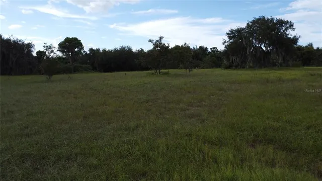 a view of a field of grass and trees