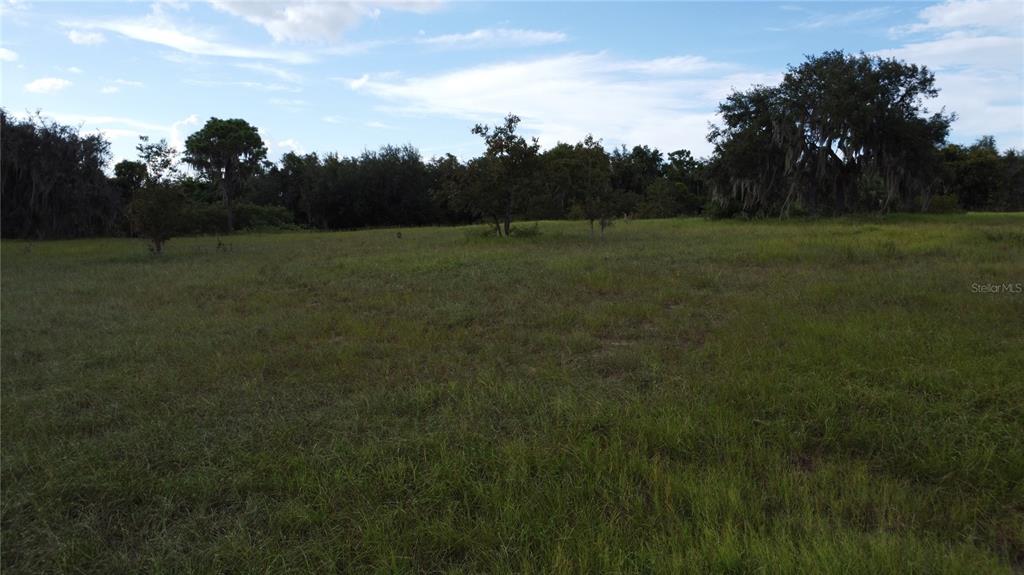742 North Lake Reedy Boulevard Frostproof, FL 33843 - Photo 10 of 19 a view of a field of grass and trees