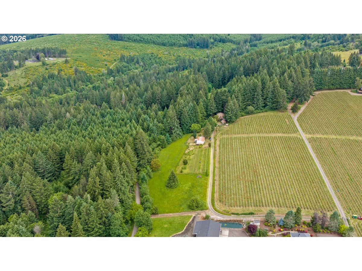 45937 Northwest Hartwick Road Banks, OR 97106 - Photo 3 of 48