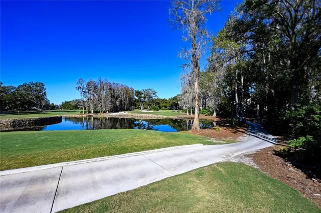$3,389,000 | 16502 Millan De Avila, Tampa, FL 33613