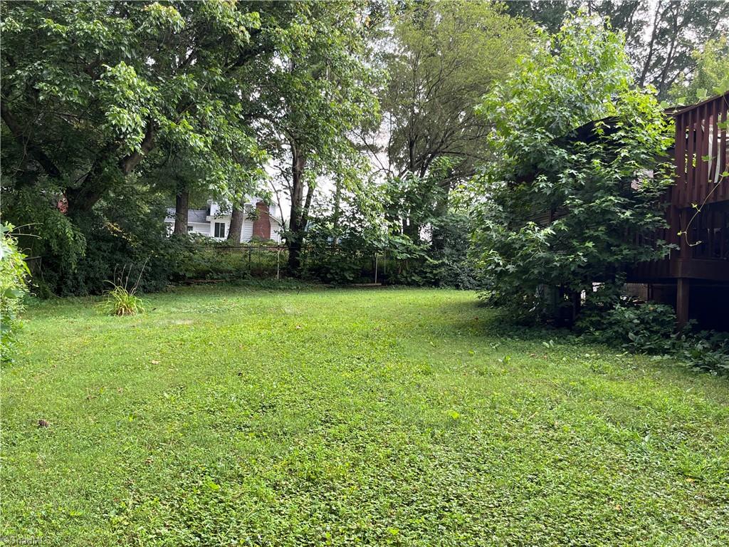 516 Mt Olivet Church Road Lexington, NC 27295 - Photo 14 of 49 NICE BACK LAWN PARTIALLY FENCED