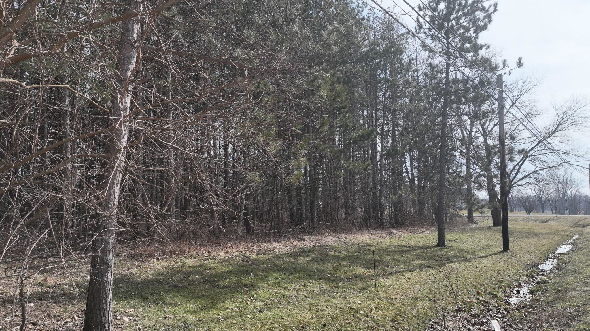 Vl Hibbard Road Corunna, MI 48817 - Photo 11 of 11