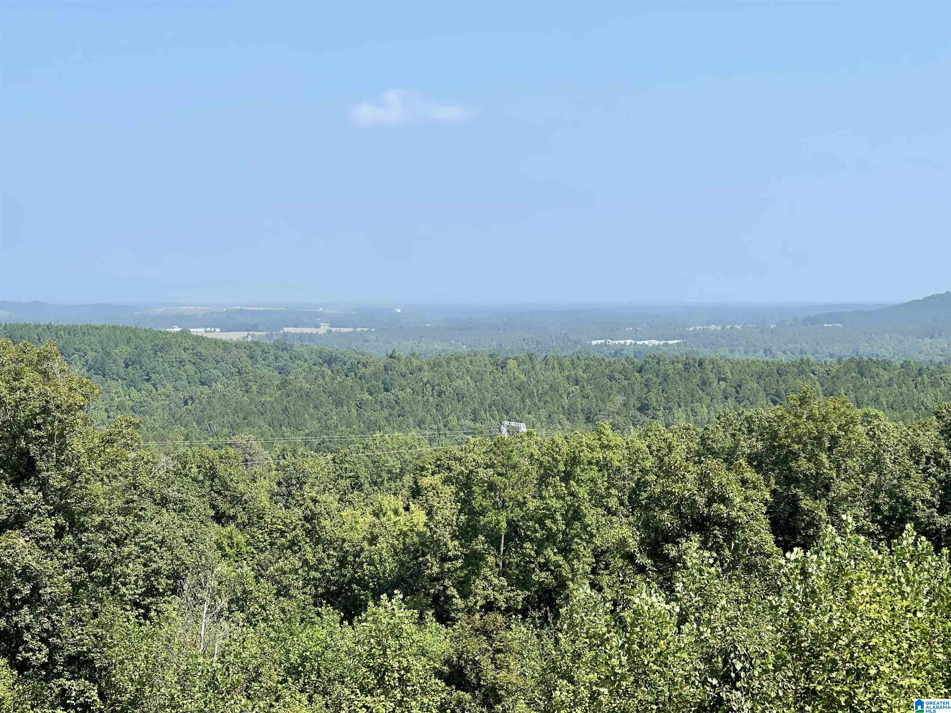 0 Benefield Gap Road Piedmont, AL 36272 - Photo 2 of 24