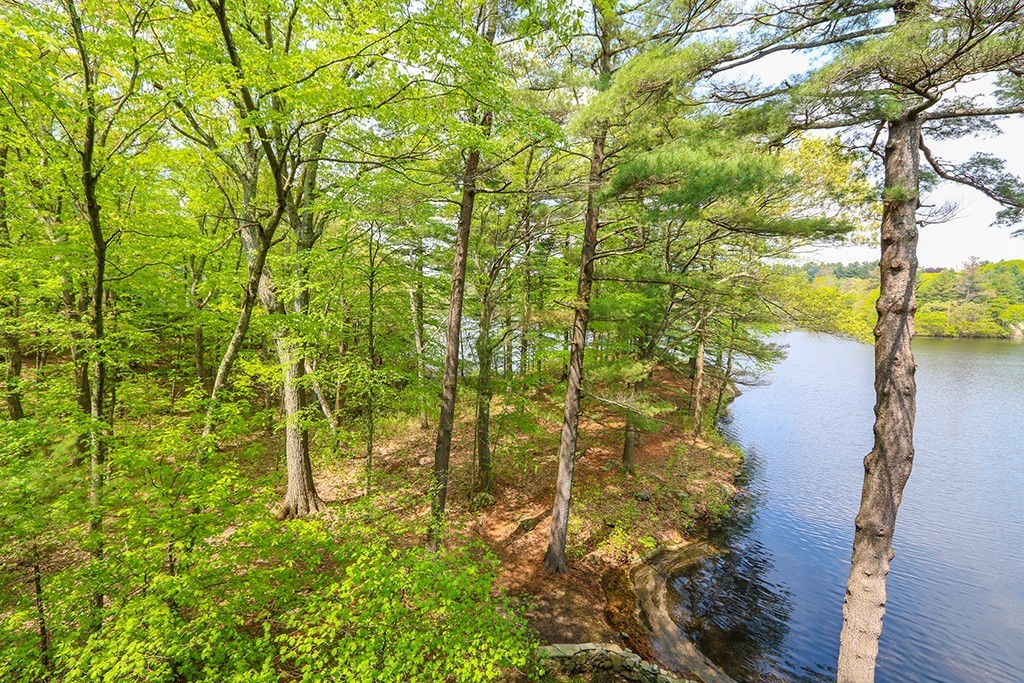 177 Meadowbrook Road Dedham, MA 02026 - Photo 13 of 23 Gallery Image 13