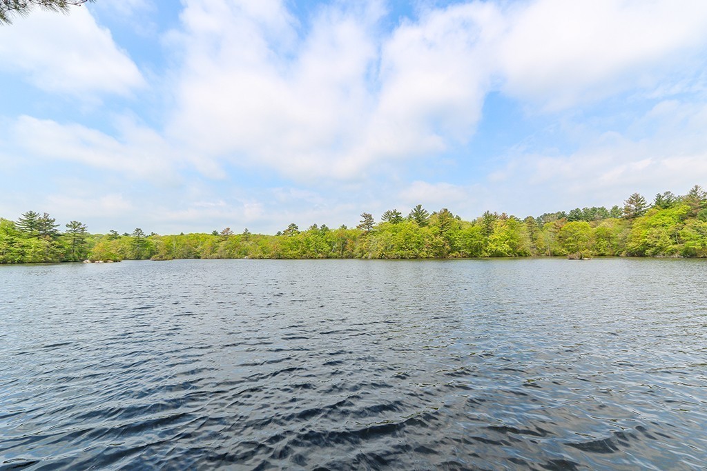 177 Meadowbrook Road Dedham, MA 02026 - Photo 8 of 23 Gallery Image 8