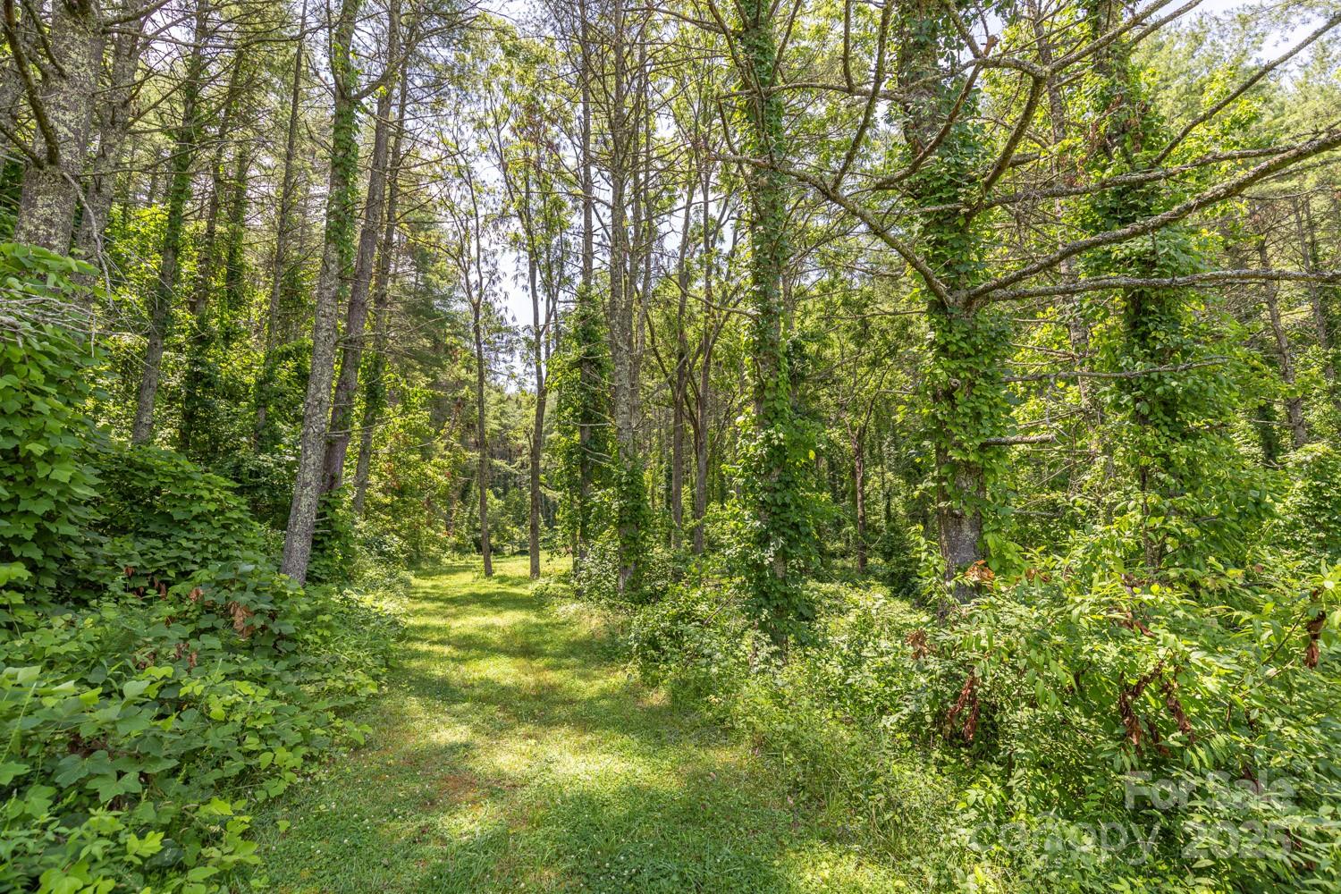 160 McLean Road Weaverville, NC 28787 - Photo 22 of 25