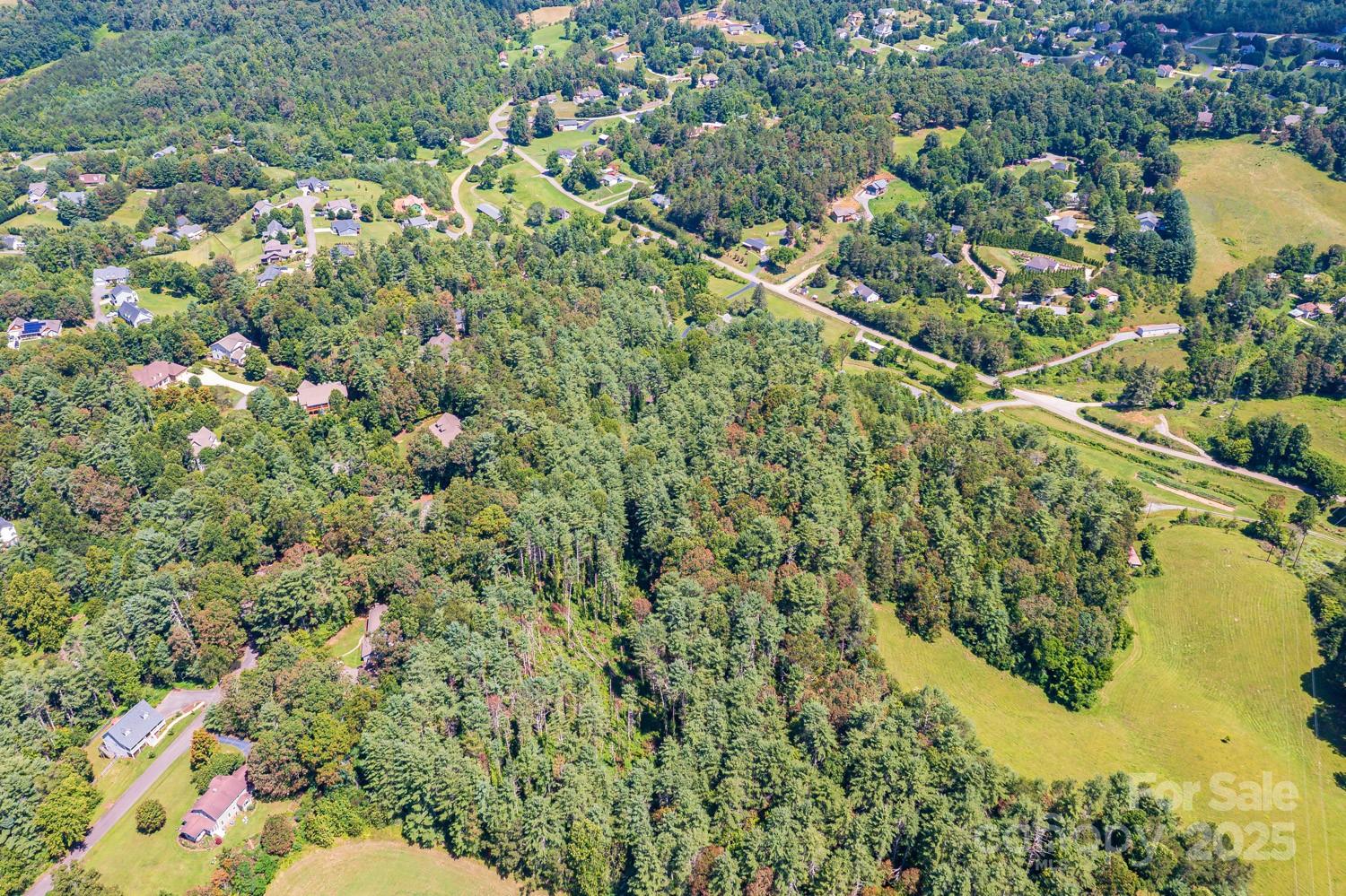 160 McLean Road Weaverville, NC 28787 - Photo 23 of 25