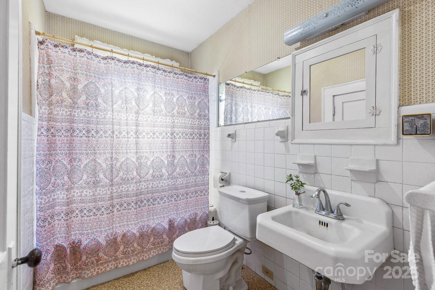 160 McLean Road Weaverville, NC 28787 - Photo 9 of 25