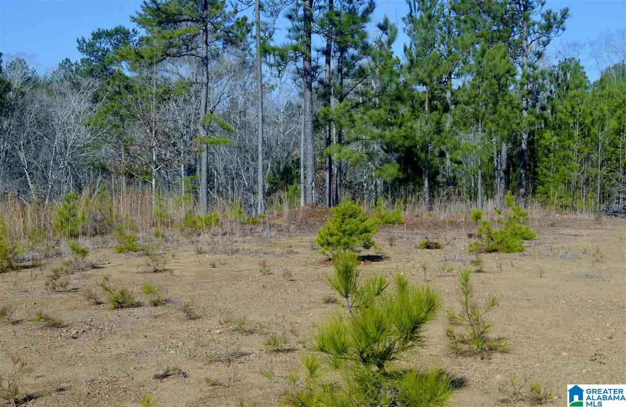 Stillwaters Trail, Unit 179 Sylacauga, AL 35151 - Photo 17 of 20