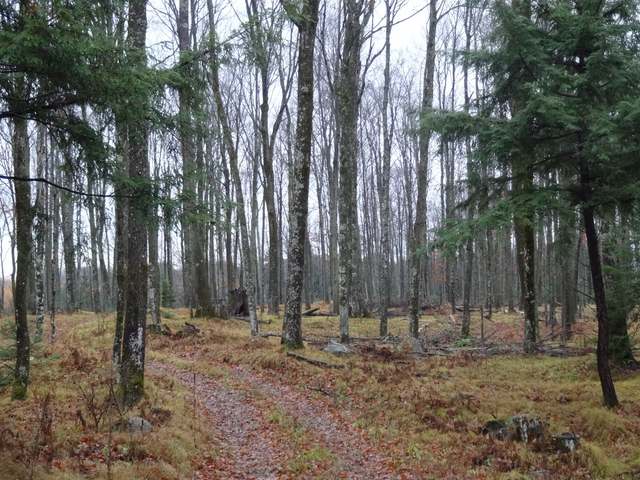 5730 Pommerening Road Rhinelander, WI 54501 - Photo 6 of 10 Gallery Image 6