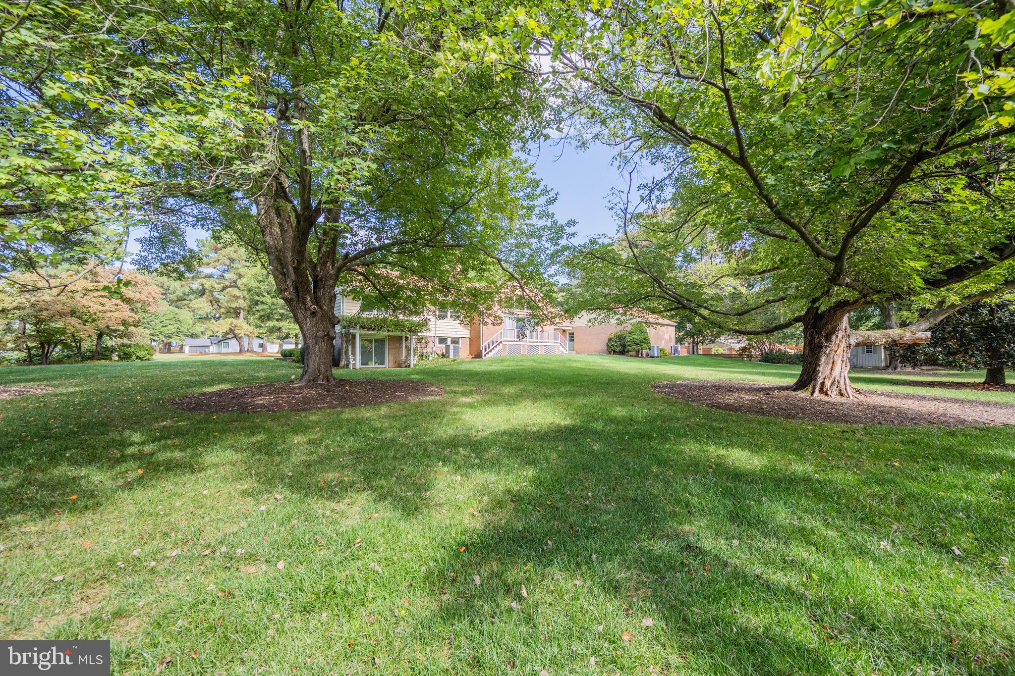 5002 Durham Road East Columbia, MD 21044 - Photo 13 of 62 Beautiful established trees