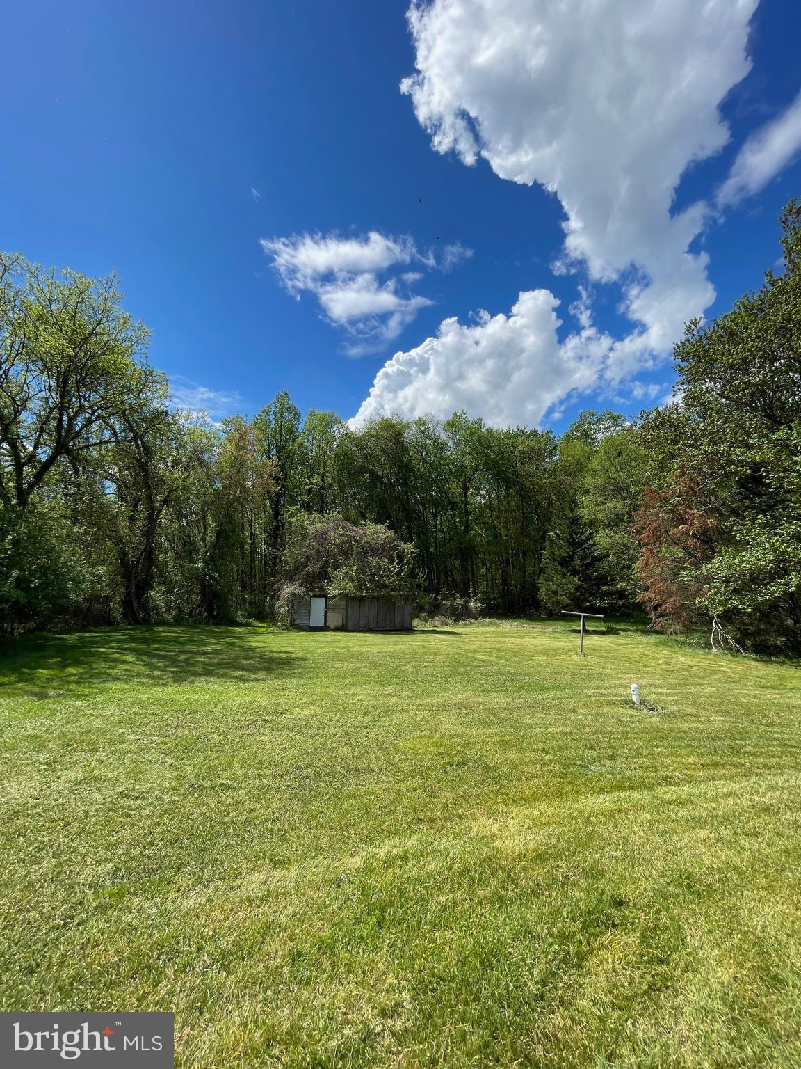 7012 Ridgeway Drive Springfield, VA 22150 - Photo 10 of 13