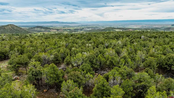 $787,000 | 21186 Uintah Road, Cedaredge, CO 81413