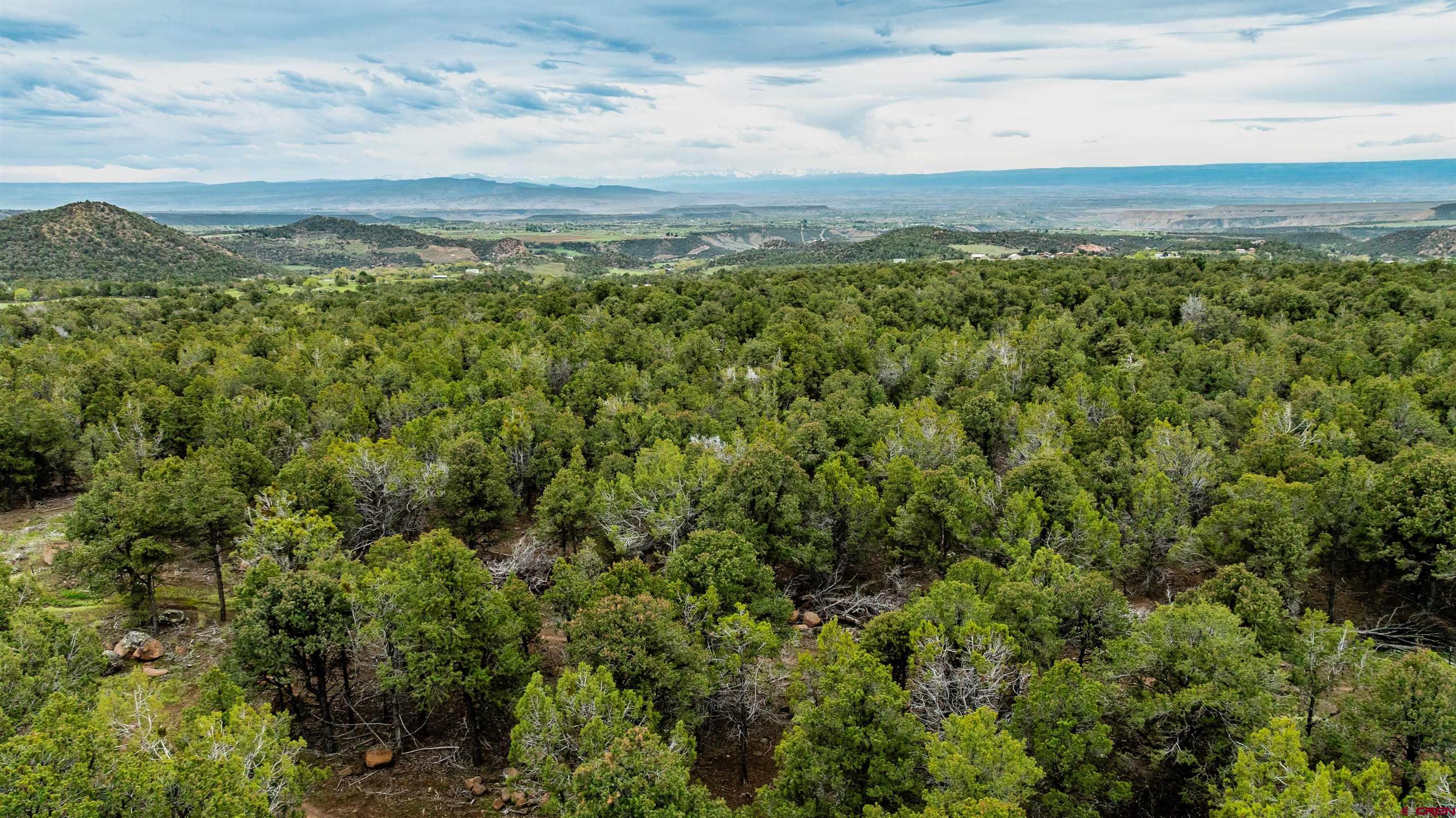 21186 Uintah Road Cedaredge, CO 81413 - Photo 44 of 45